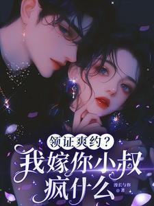 沈书柠陆司砚全文免费阅读