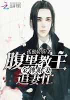 金牌神医腹黑妃