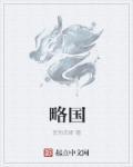 略国是什么