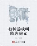 随意的隋唐演义