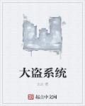 电影大盗系统txt