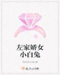 左家娇女打一个正确数字