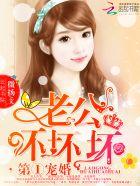 坏坏老公宠不停免费txt