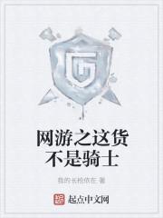 网游之这货不是骑士TXT