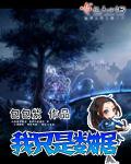 我只是数据笔趣阁TXT