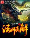 法师真解TxT