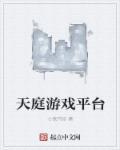 天庭信息科技有限公司