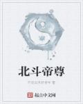 北斗帝尊李木几个女主