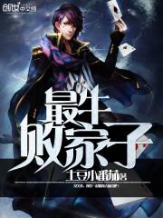 最强败家子书籍