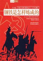 钢铁是怎样炼成的在线观看