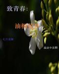 油桐也正在开花