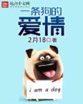电影一条狗的故事