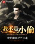 我不是小偷中文版