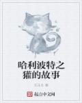 哈利波特谁是獾院的