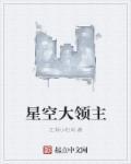 星空领主文