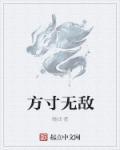 方寸什么