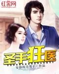 圣手狂医免费完整版