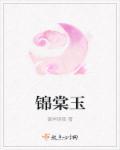锦棠玉华书评