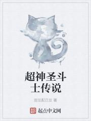 超级圣斗士