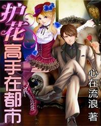 护花高手在都市人物简介