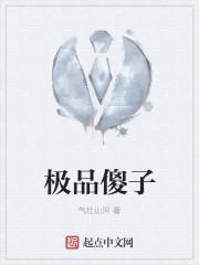极品傻婿
