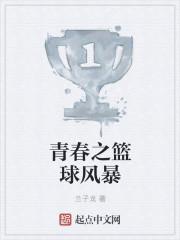 青春之篮球风暴 兰子龙