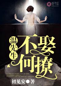 温先生不娶何撩 txt