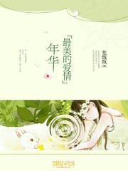 最美的爱情电视剧