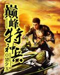 巅峰特种兵叶辰全文免费阅读