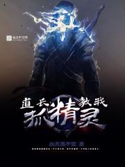 抓精灵合体的动画片有什么