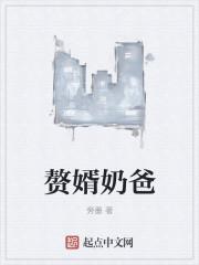 赘婿奶爸有声