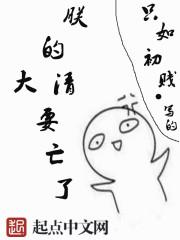 朕的江山亡了晋江文学城