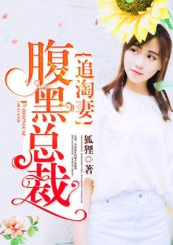 腹黑总裁追淘妻免费阅读全文