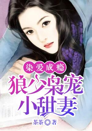 染爱成婚陆少蜜宠甜妻免费