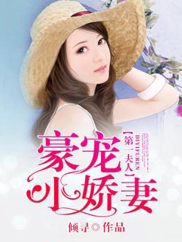 第一夫人 全文阅读