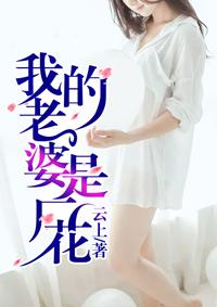 我的老婆是厂花手机阅读