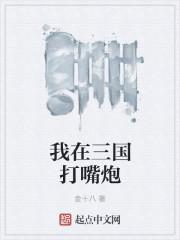 我在三国一打三