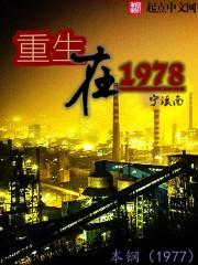 重生在70年代东北的