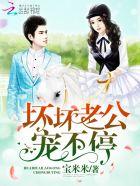 坏坏老公宠不停无删减版