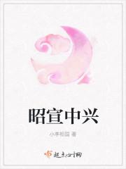昭宣中兴是哪位帝王