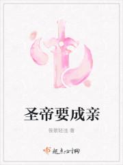 永恒圣帝免费阅读
