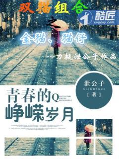 青春的峥嵘岁月txt