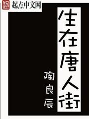 生在唐人街 无弹窗阅读