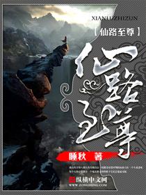 仙路至尊作者