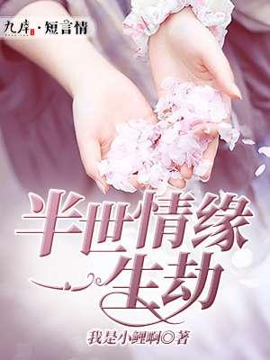 半生缘一世情简介