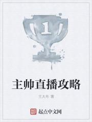主帅是干嘛的