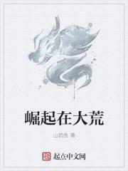 崛起在大明免费阅读
