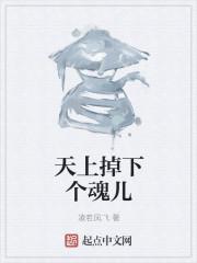 天上掉下个林妹妹