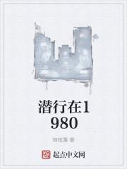 我在1980年有片原始森林