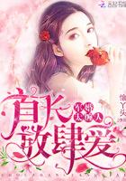 放肆爱(懐丫头)